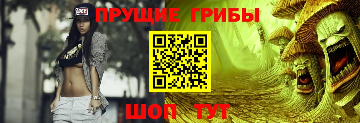 Галлюциногенные грибы Psilocybine cubensis  Вход с VPN  Нижнекамск 
