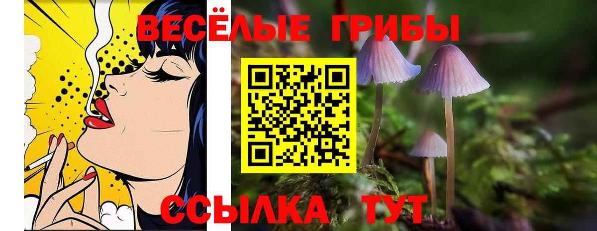 Псилоцибиновые грибы ЛСД Нижнекамск